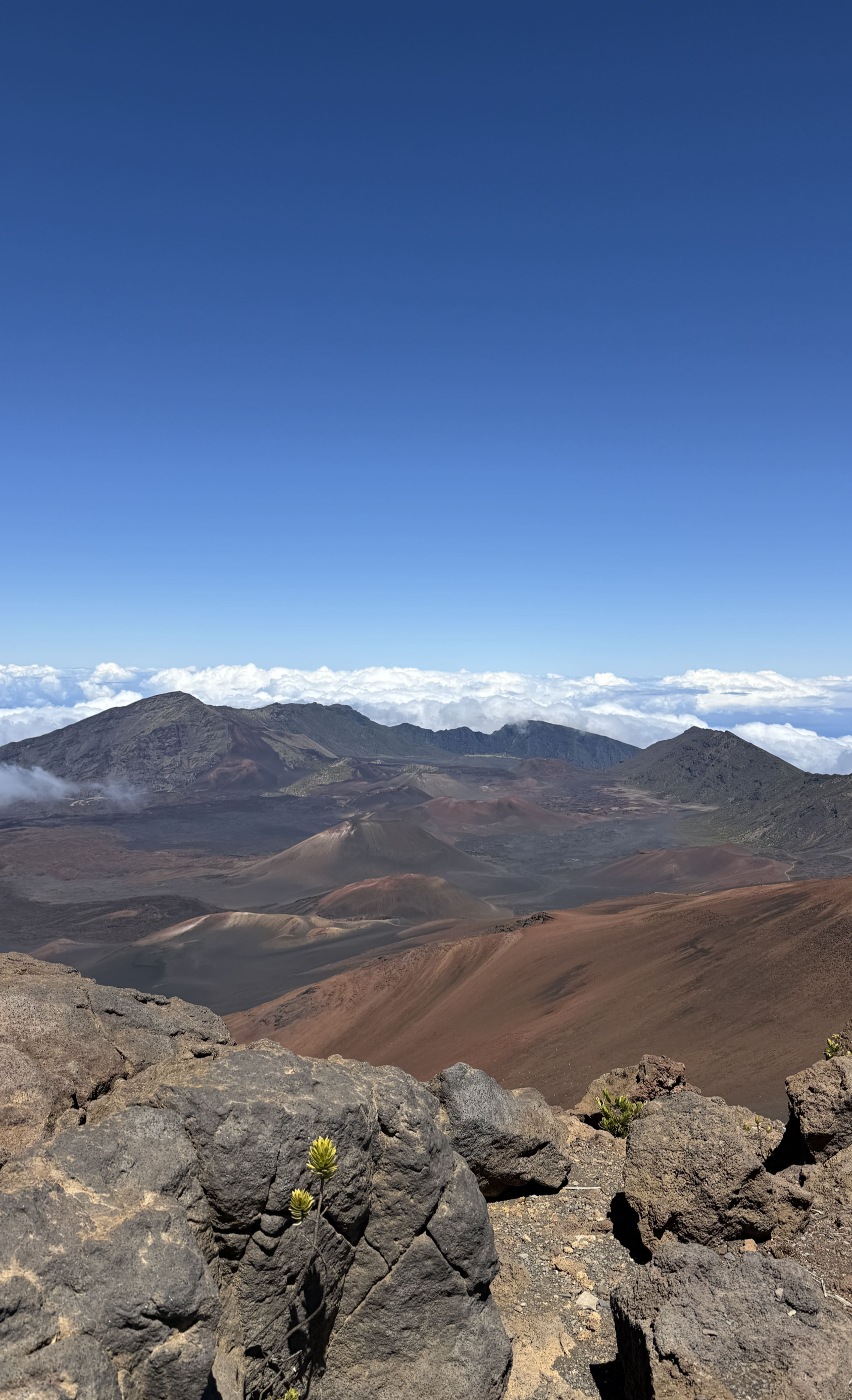 마우이 여행 할레아칼라