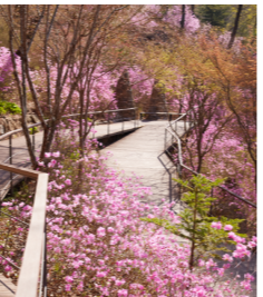 곤지암 화담숲 예약