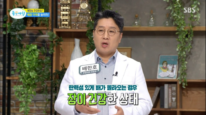 장 독소 테스트 자가진단 질병