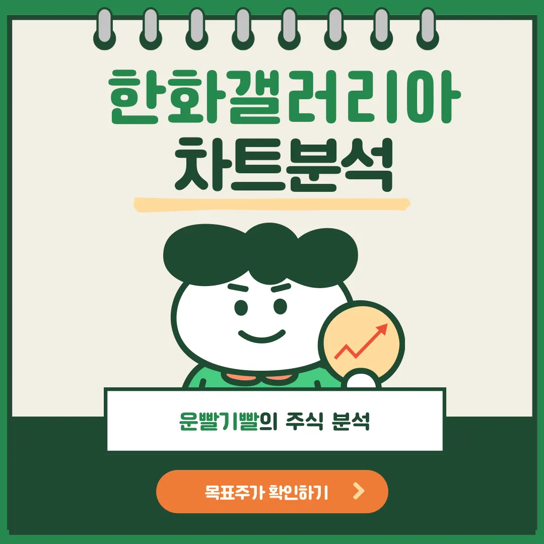 한화갤러리아 차트분석