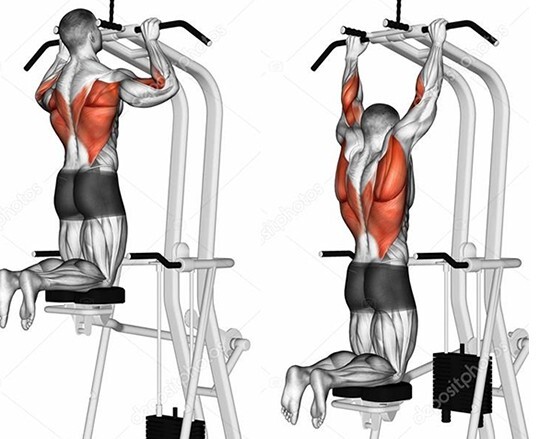 상체 프레임 커지는 법