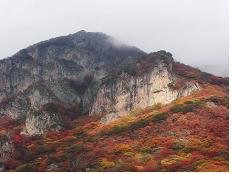 소이부답 여러 의미