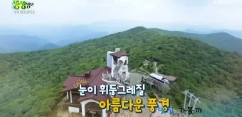 생생정보 평창 황태구이 황태해장국 장PD AI여행_18