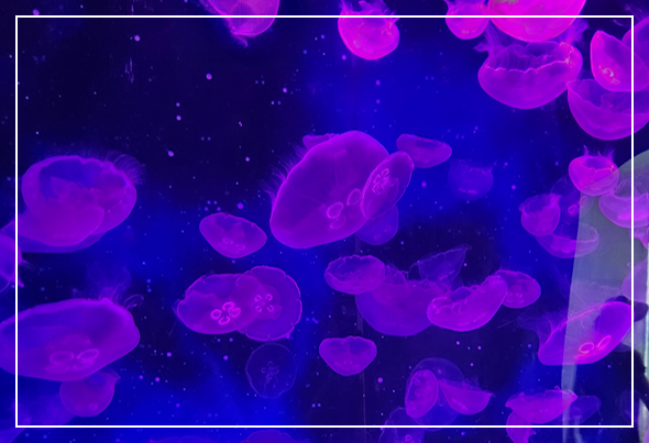 영도 해양박물관