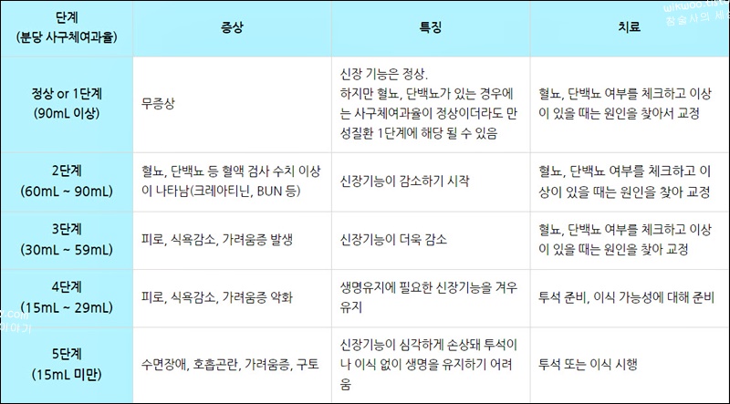 사구체 여과율 치료 수치