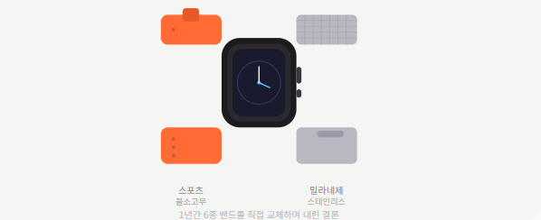 Apple Watch 밴드 1년 교체 내역