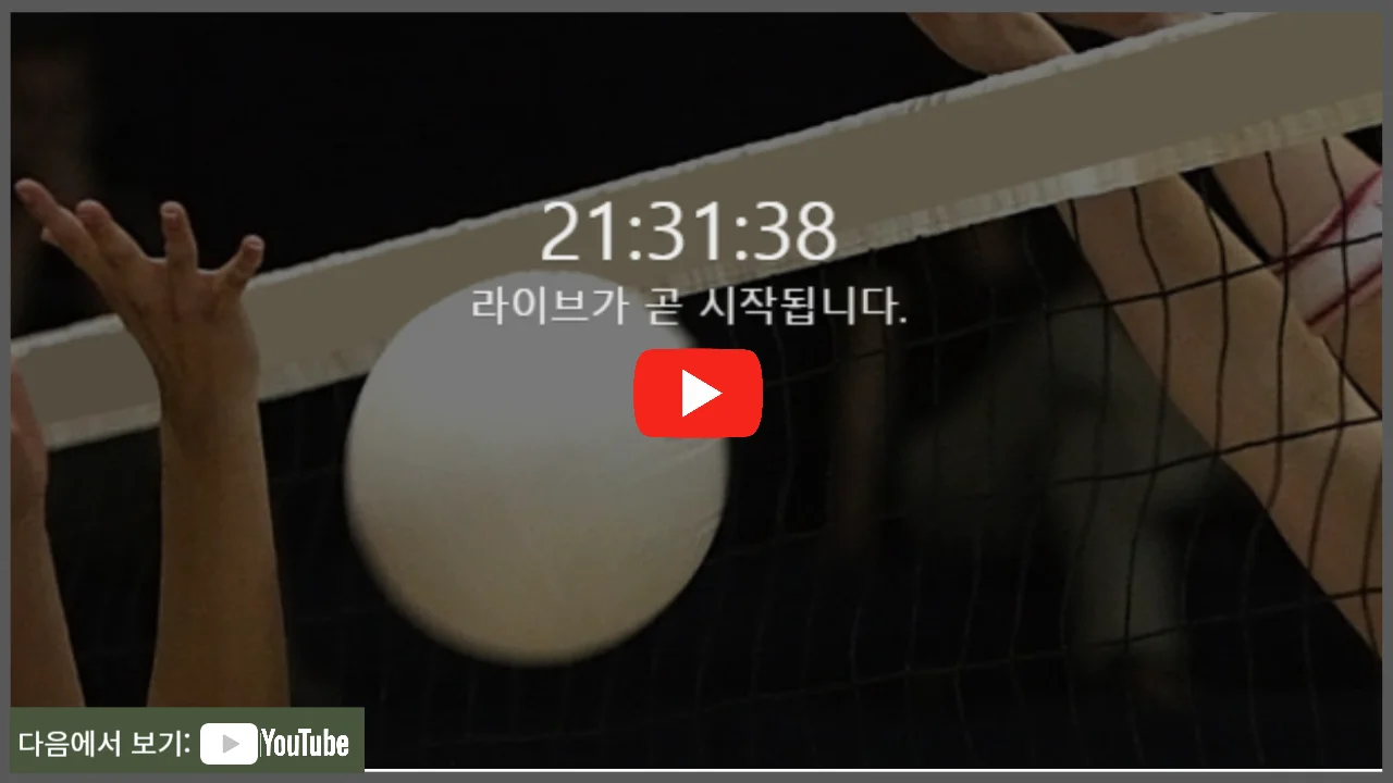 여자배구 일정 GS칼텍스 흥국생명