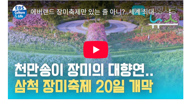 삼척장미축제-유튜브영상