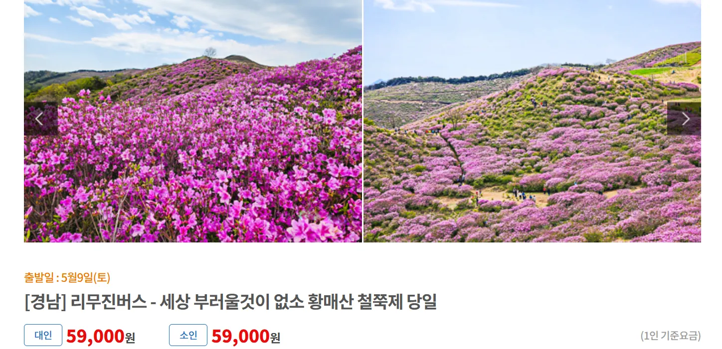 여행자클럽 버스 투어