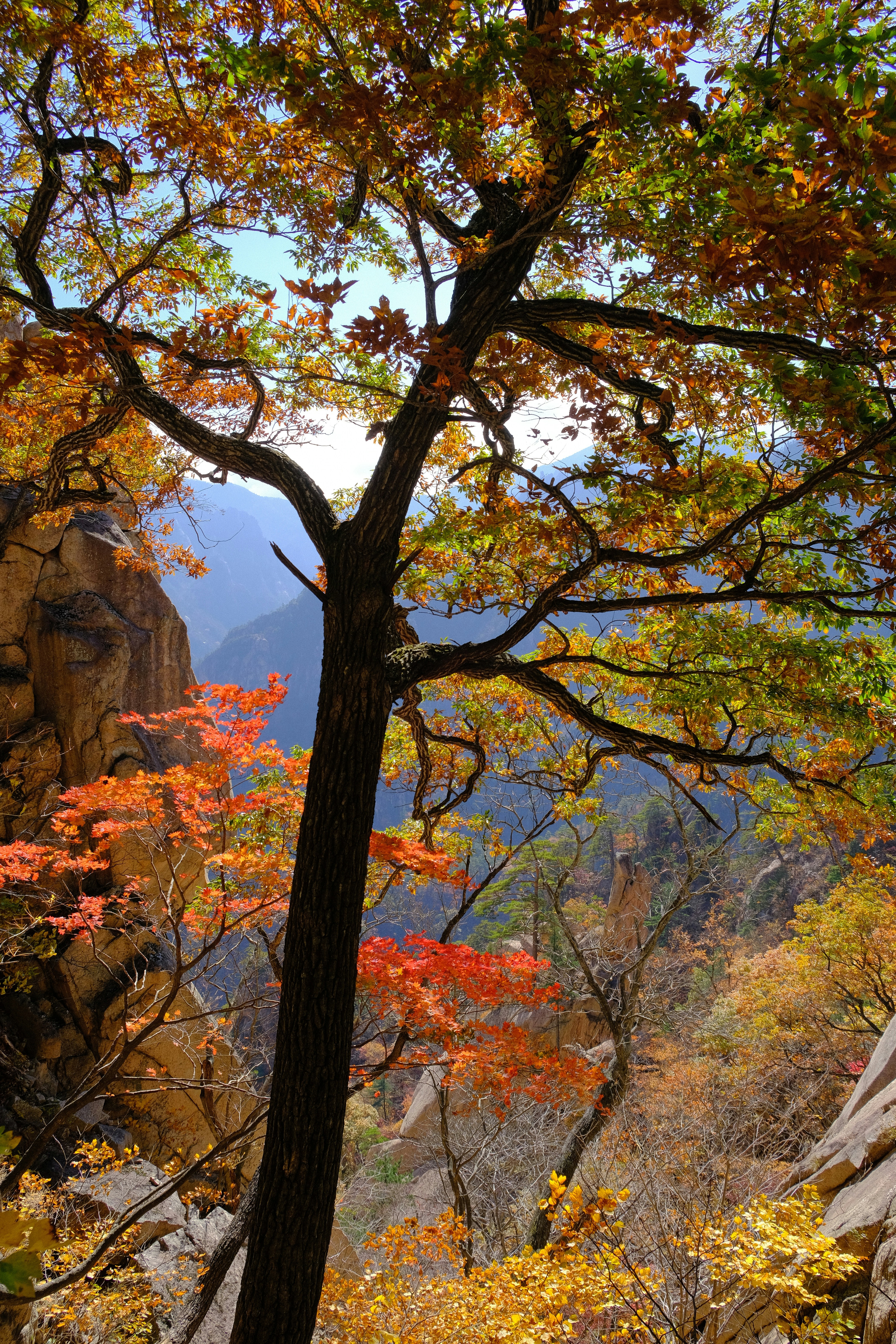 설악산 -등산코스- 완벽 -가이드-15