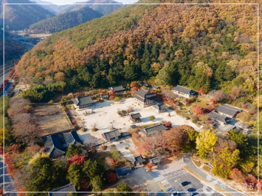 장흥 가볼만한곳 베스트10 보림사