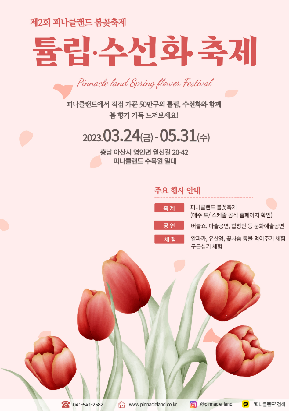 피나클랜드-튤립-수선화-축제