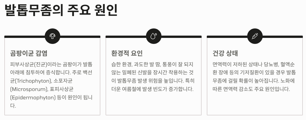 발톱무좀 원인과 제거하는 꿀팁 총정리 (2025ver)