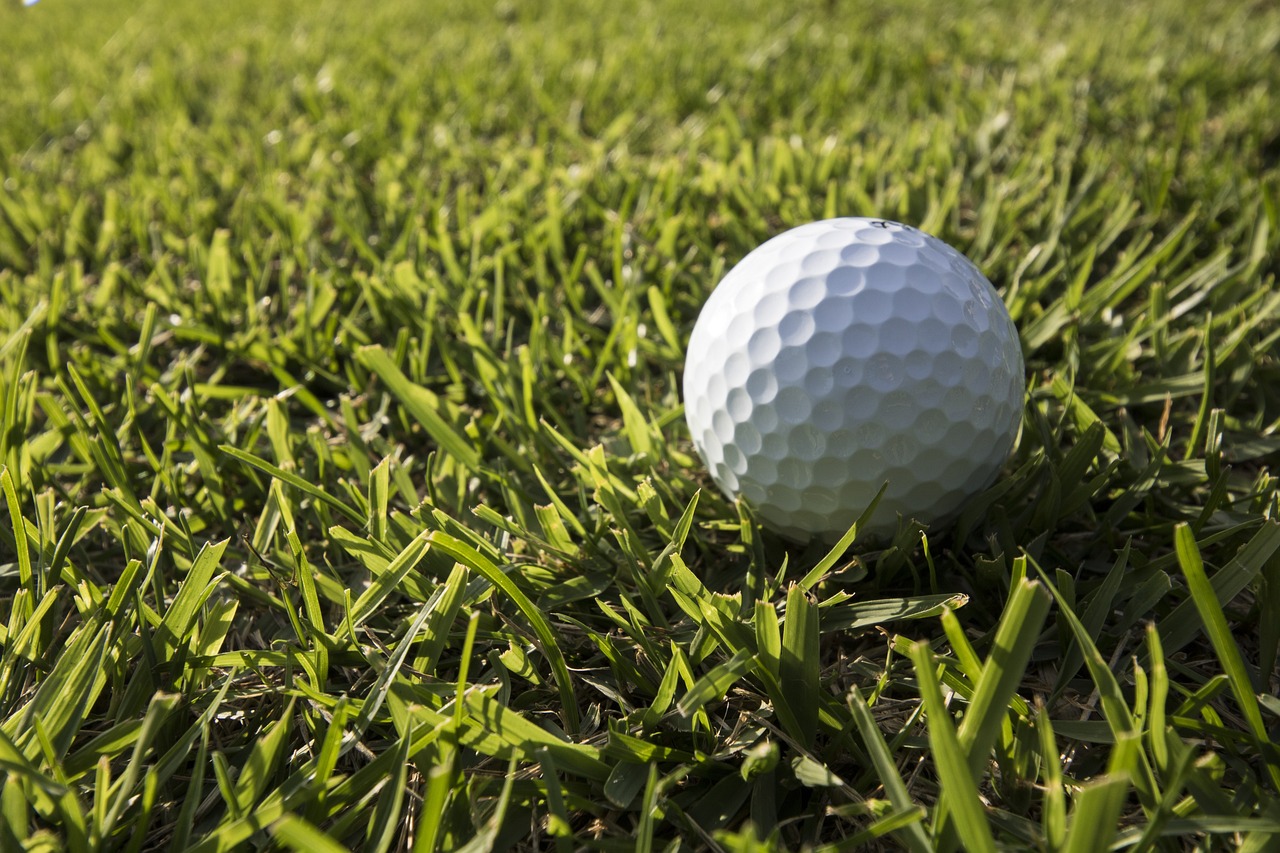 골프 관련 사진