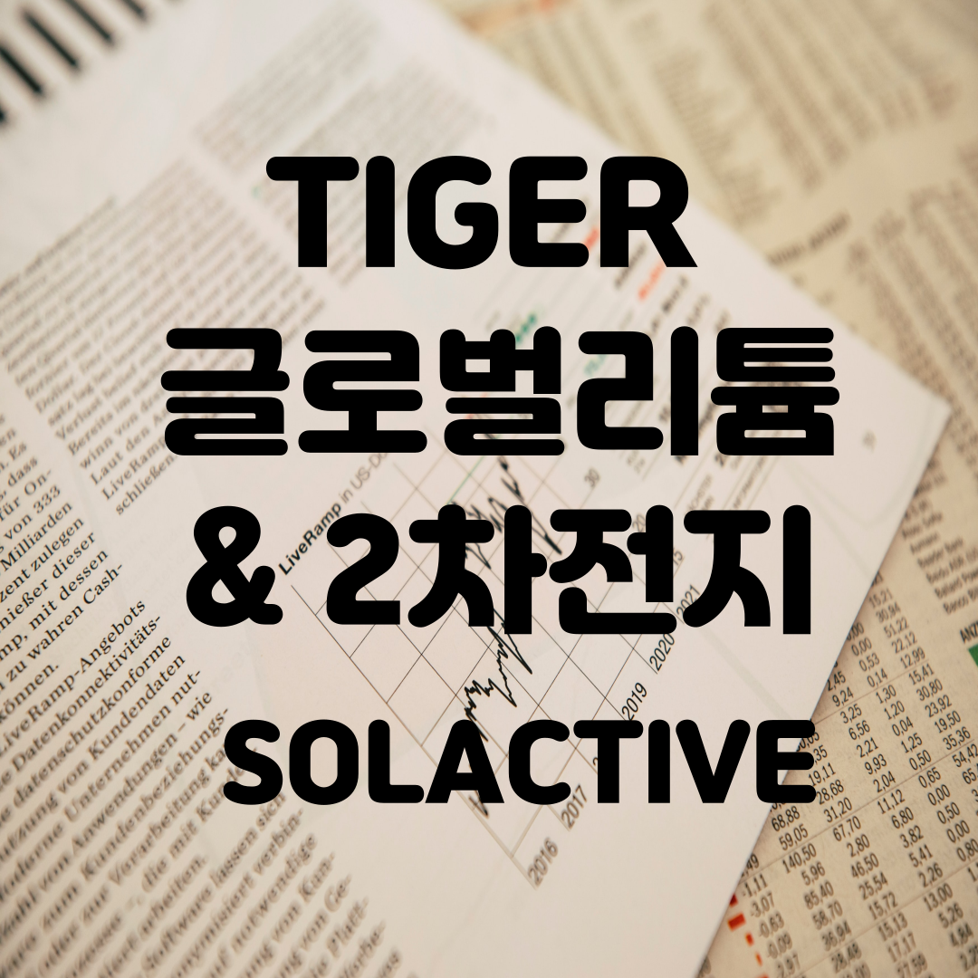 TIGER 글로벌리튬 & 2차전지 SOLACTIVE