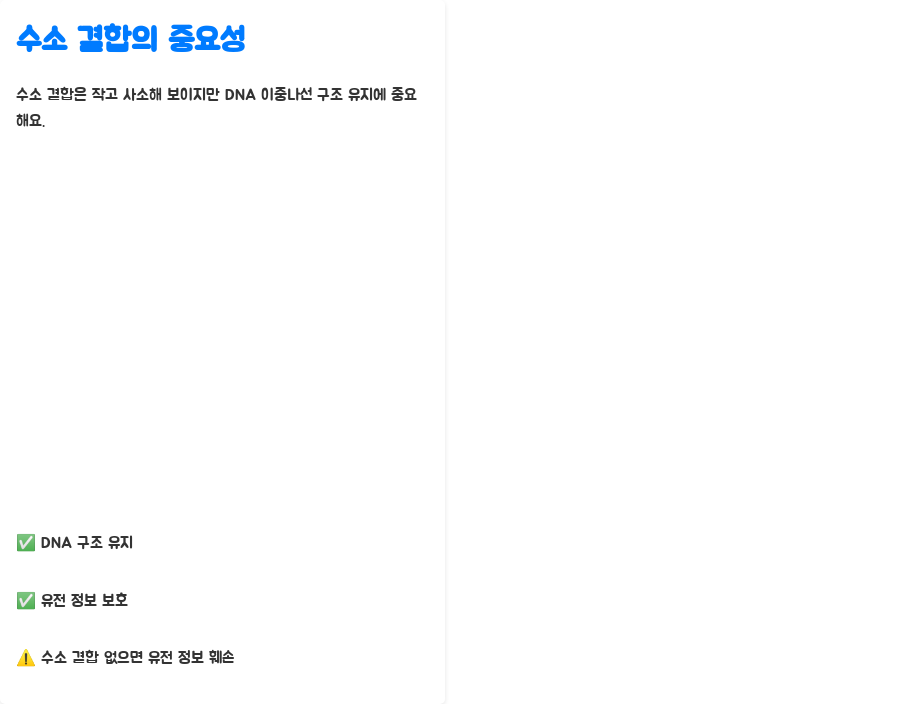 DNA 이중나선 구조, 왜 이렇게 안정적일까요? 분자생물학의 놀라운 비밀! - DNA 이중나선 구조의 안정성: 수소 결합의 마법 - 수소 결합의 중요성: 생명체 유지의 핵심