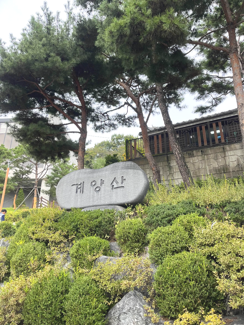 계양산 등산후기, 계양산 등산코스, 초보자 등산 코스 추천