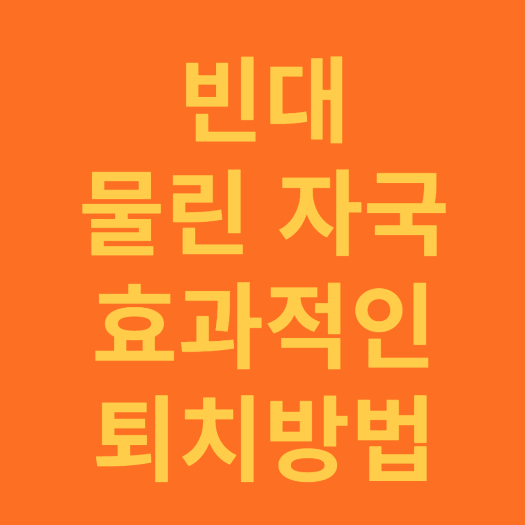 빈대 물린 자국과 여행시 예방 방법
