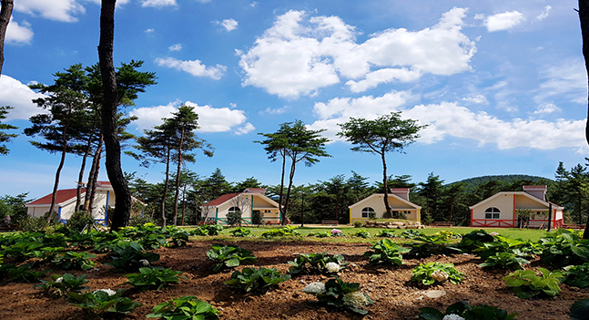 국립공원