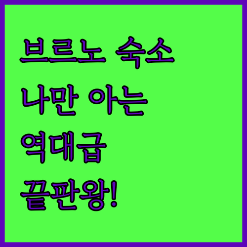 나만 알고 싶은 체코 브르노 숙소 리..