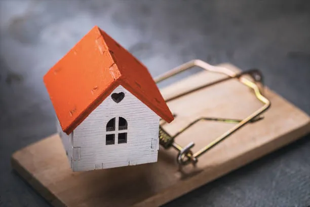 전세 사기 피해 방지