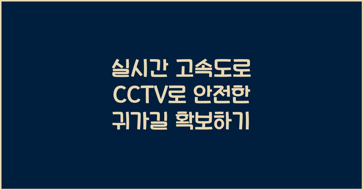 실시간 고속도로 cctv