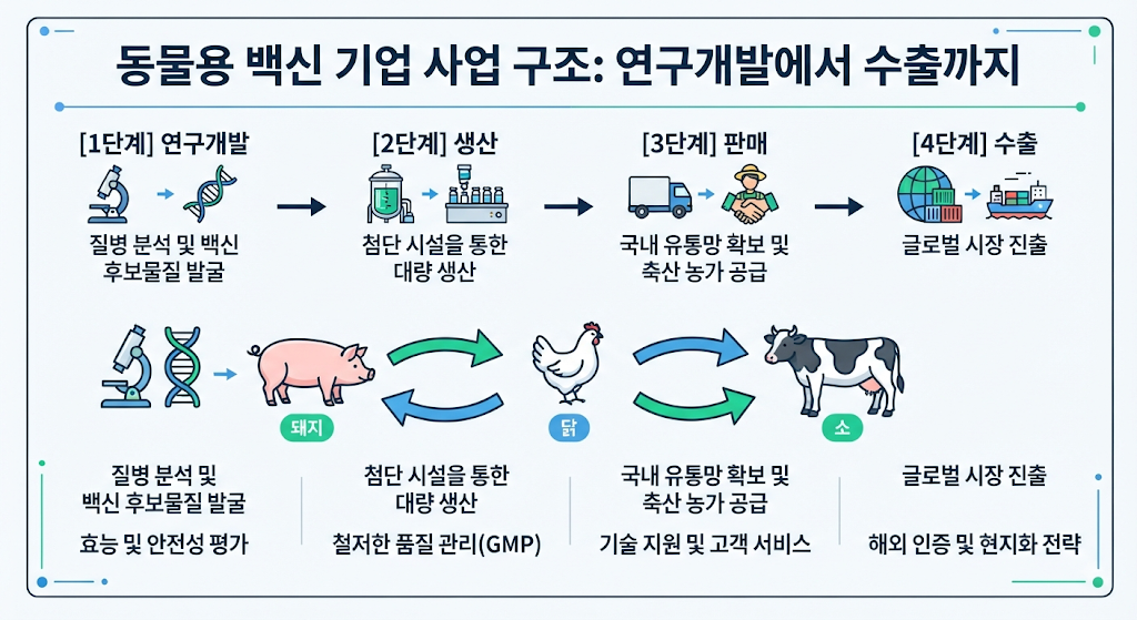 중앙백신의 동물용 백신 사업 구조와 주요 축종을 설명하는 인포그래픽