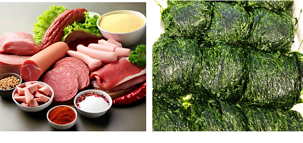 갑상선암에 나쁜 음식1