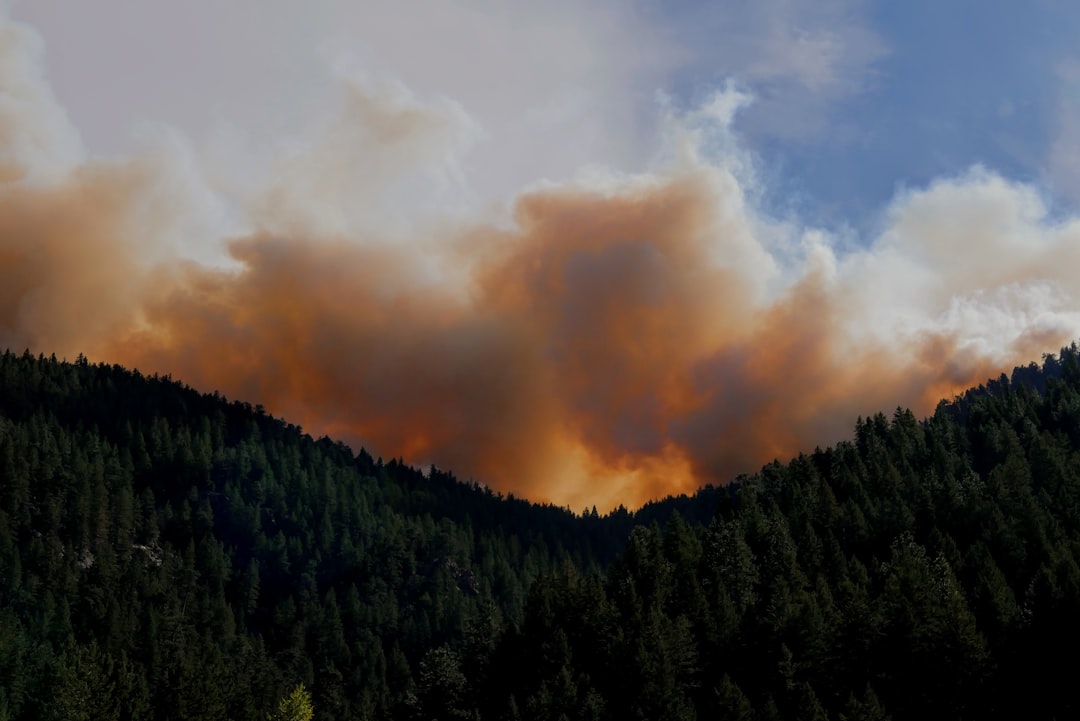 Wildfire