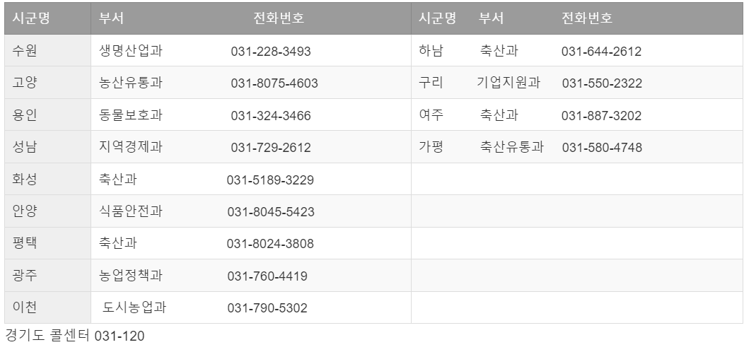 애견 분양