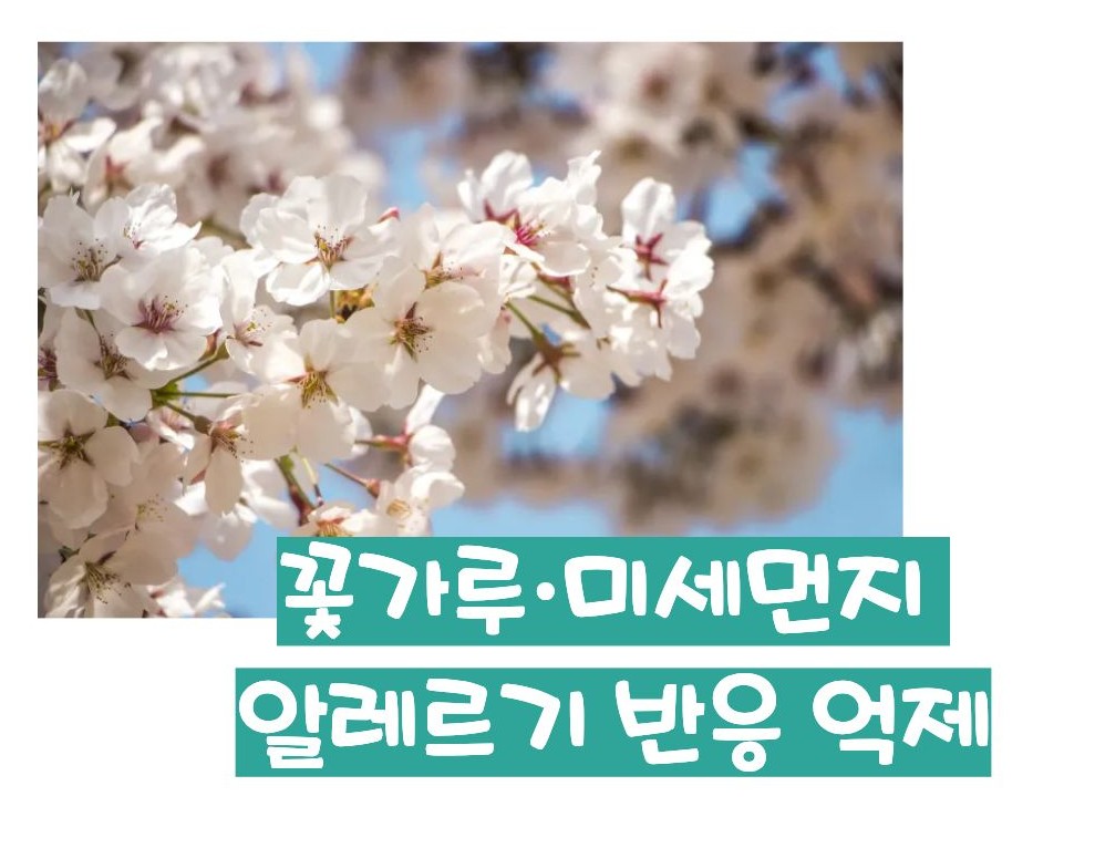 지르텍 효능