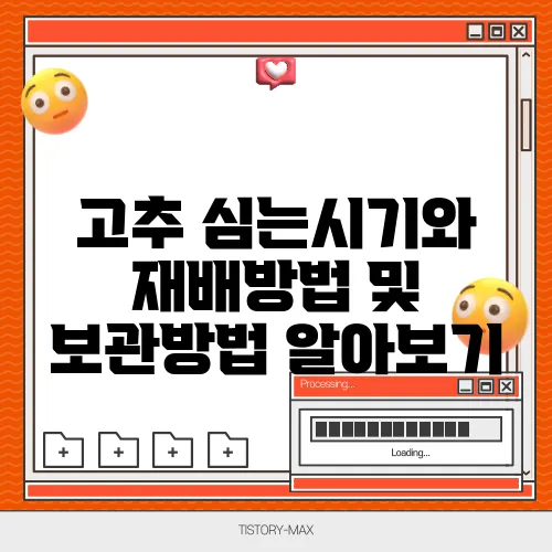 고추 심는시기와 재배방법 및 보관방법 알아보기