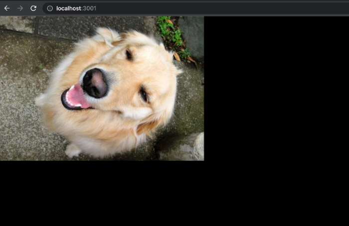 NextJS 이미지 API 결과
