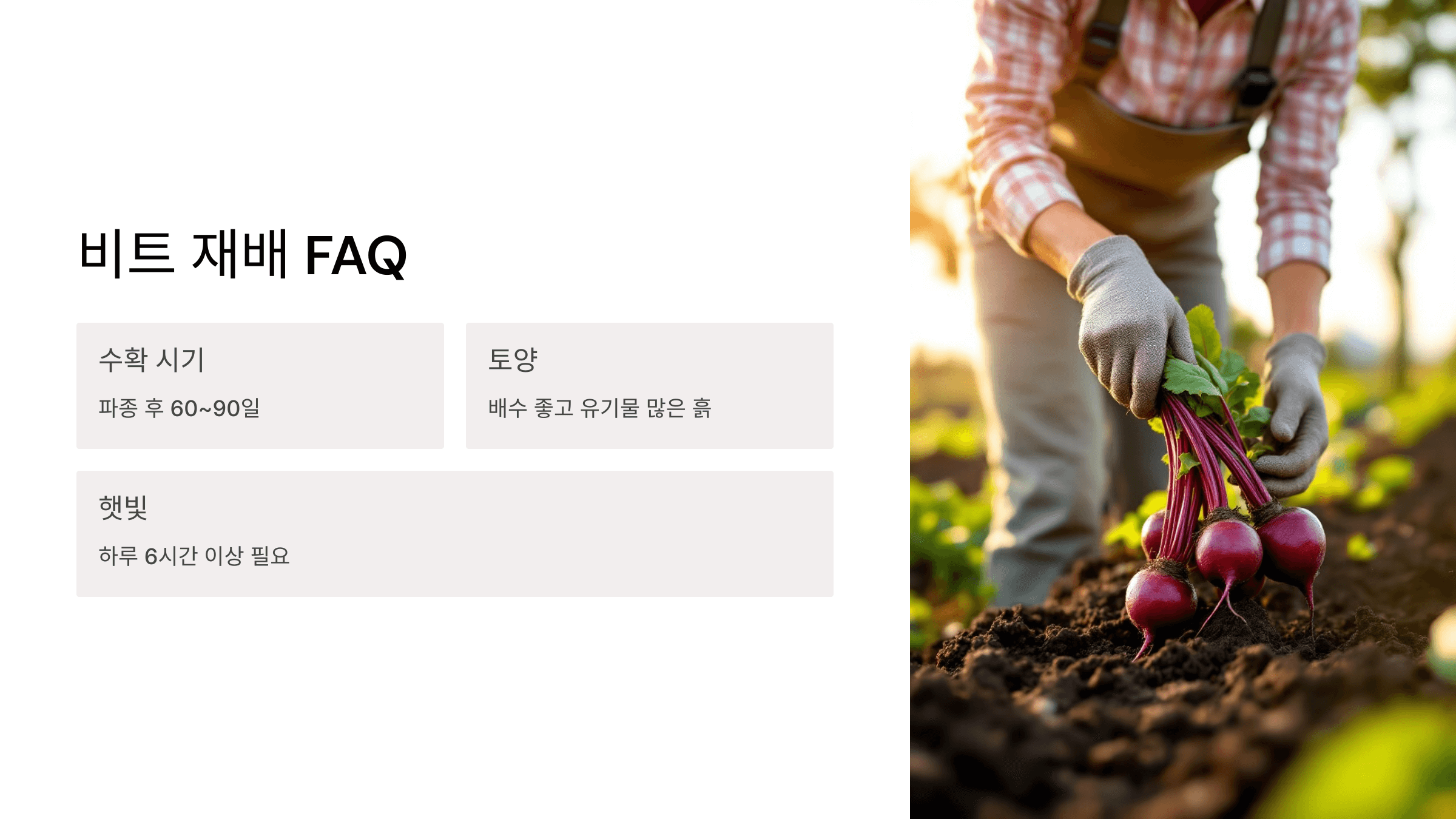 비트 사진입니다.