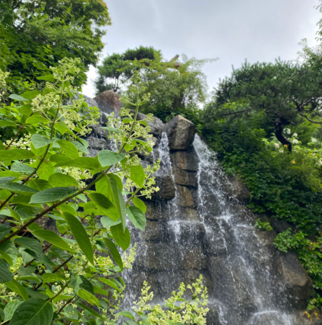 경기도-곤지암-화담숲-전경