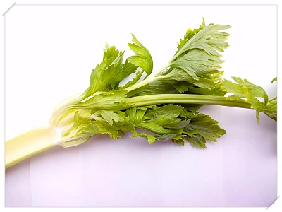 식도염 좋은 음식