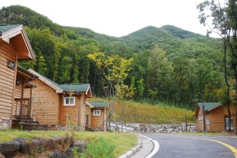 연천 가볼만한곳 베스트10 알아보기