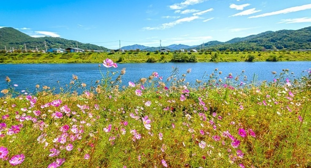 곡성