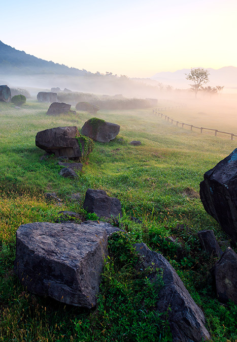 고창 해풍고추축제