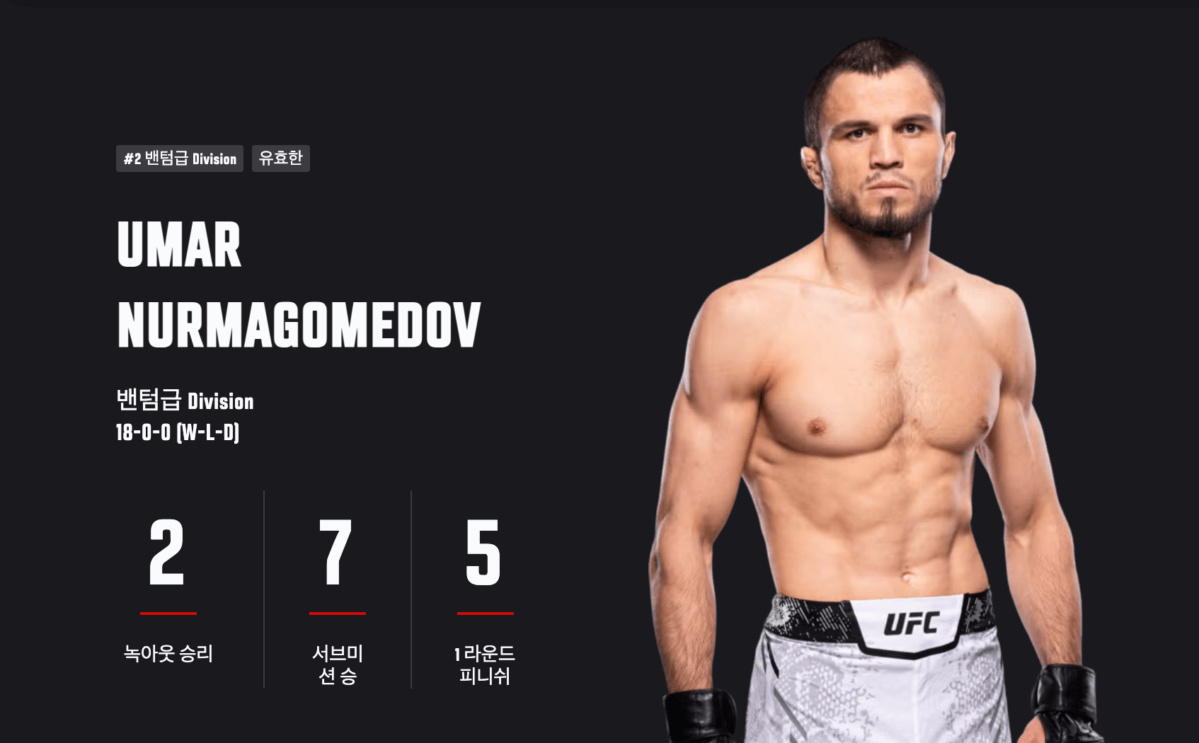 UFC 311 마카체프 vs 사르키안 라이트급