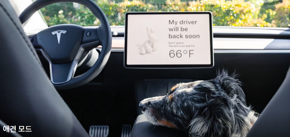 테슬라 모델Y 가격