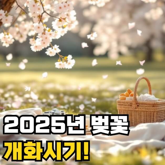2025년 벚꽃 개화시기