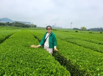 제주 오설록 티뮤지엄 관람 팁과 근처 카페 안내_20