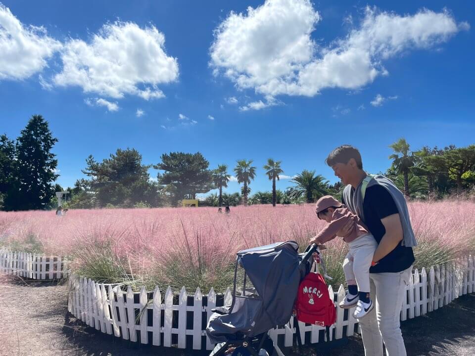 가을 아기와 함께 제주도 여행 휴애리자연생활공원
