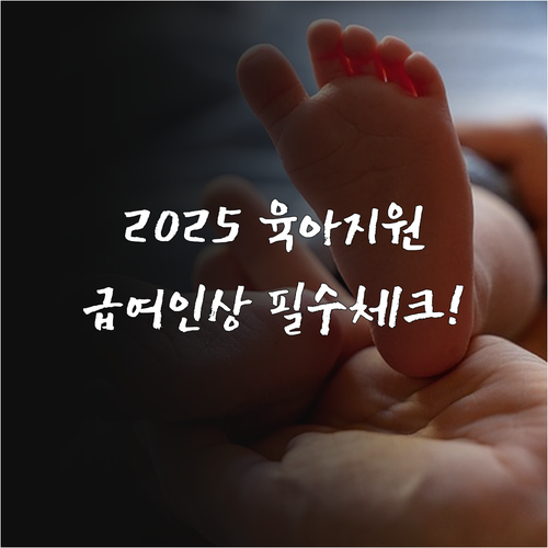 2025년 출산 육아 지원 제도 요약..