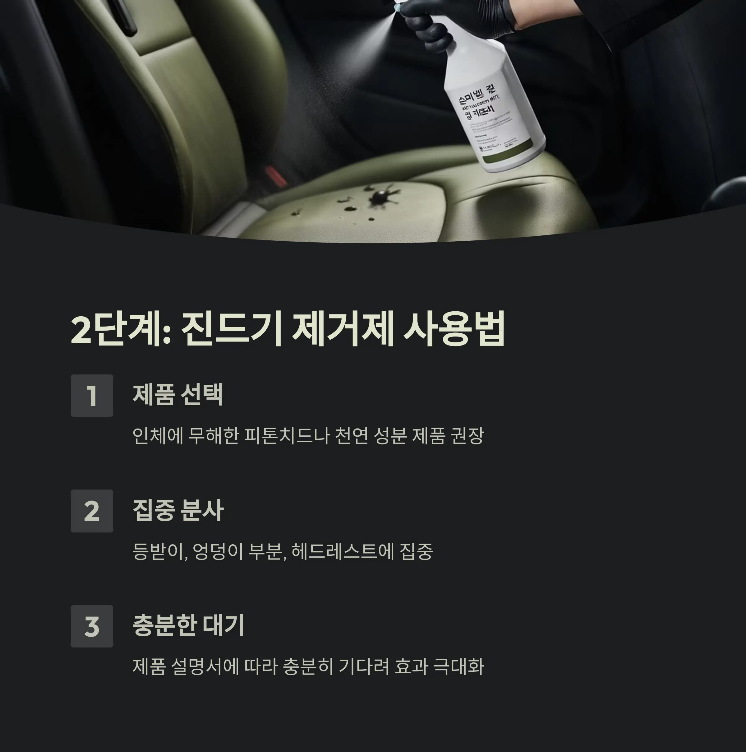 차량 진드기 제거 정보