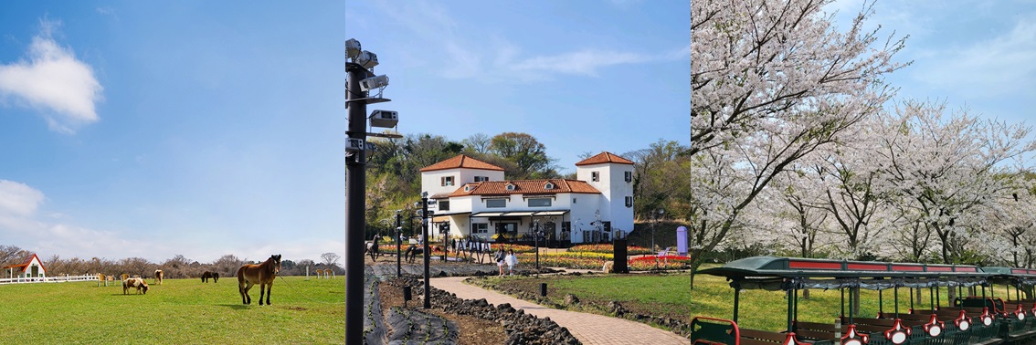 에코랜드 홈페이지