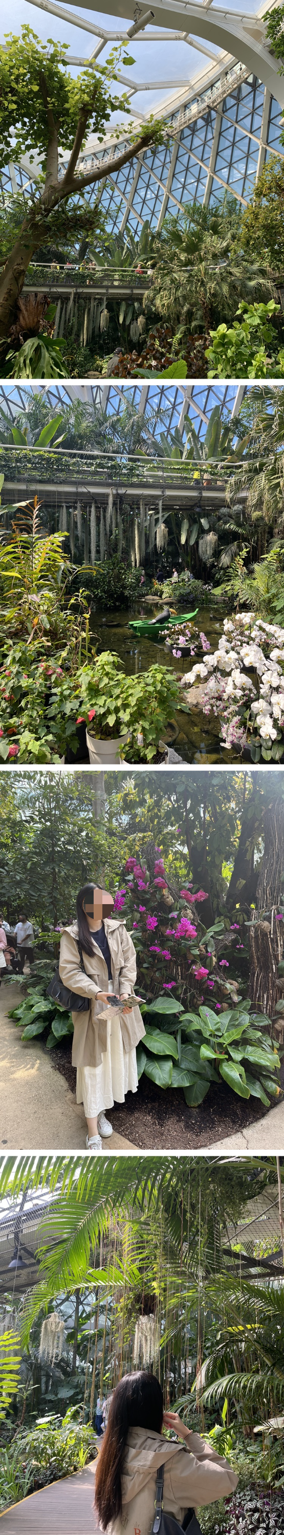 열대관 포토스팟 및 전체적인 모습