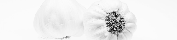 마늘 수확시기, 마늘 수확 적기: 중부지방