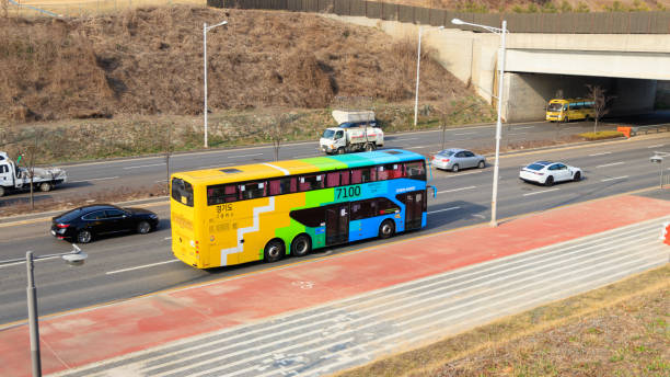 버스전용차선 벌금